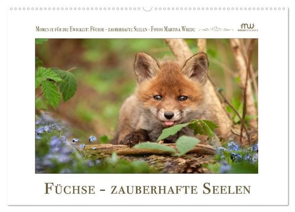 Produktbild: F&uuml;chse - zauberhafte Seelen (Wandkalender 2026 DIN A2 quer), CALVENDO Monatskalender