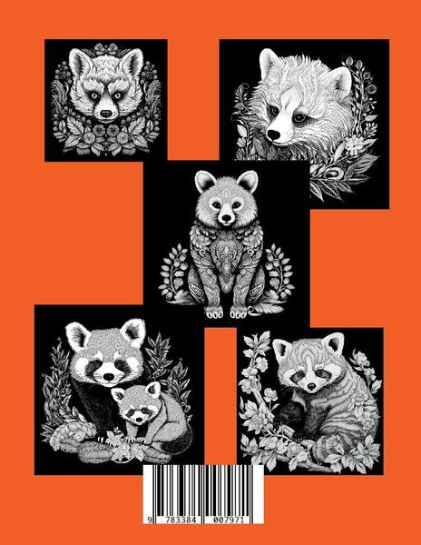 Produktbild: Schwarzes Malbuch &bdquo;Roter Panda&ldquo;.