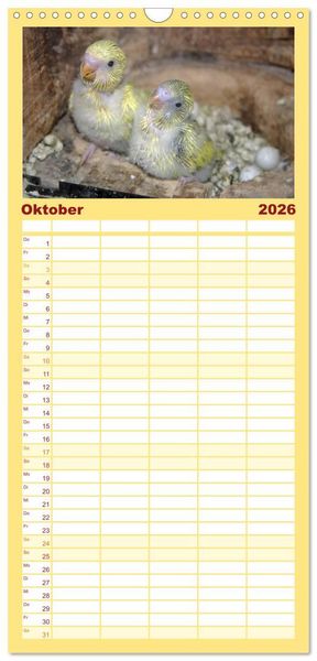Produktbild: Familienplaner 2026 - Wellensittiche - Gefiederte Freunde mit 5 Spalten (Wandkalender, 21 x 45 cm) CALVENDO