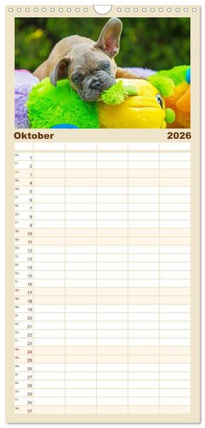 Produktbild: Familienplaner 2026 - Kleine Helden - Franz&ouml;sische Bulldoggen mit 5 Spalten (Wandkalender, 21 x 45 cm) CALVENDO