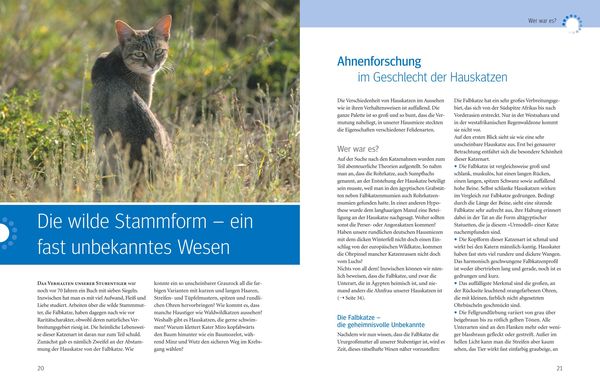 Produktbild: Was Katzen wirklich wollen