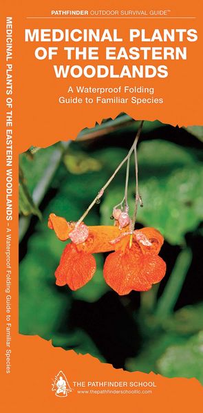 Produktbild: Medicinal Plants of the Eastern Woodlands