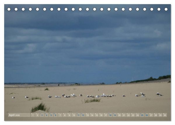 Produktbild: Texel. Neue D&uuml;nen (Tischkalender 2026 DIN A5 quer), CALVENDO Monatskalender