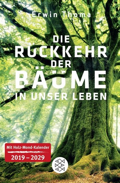 Die Rückkehr der Bäume in unser Leben