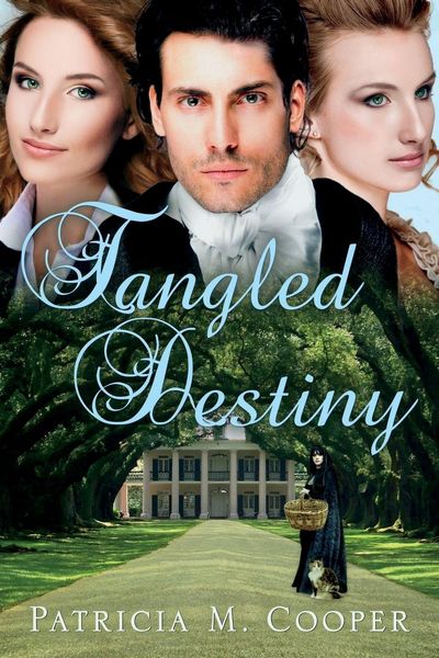 Produktbild: Tangled Destiny