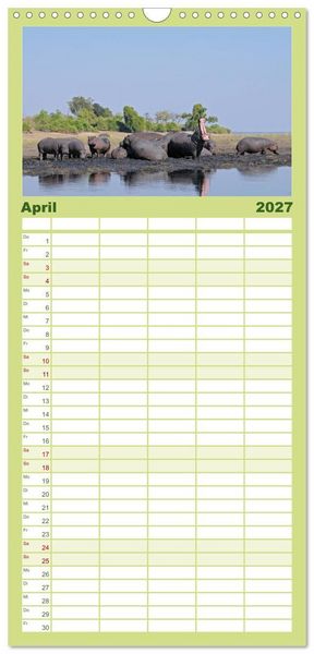 Produktbild: Familienplaner 2027 - Flusspferde Magie des Augenblicks - Hippos in Afrika mit 5 Spalten (Wandkalender, 21 x 45 cm) CALVENDO