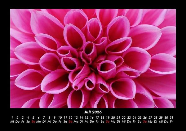 Produktbild: Blumentr&auml;ume 2026 Fotokalender DIN A3