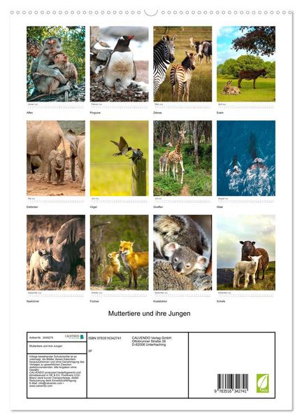 Produktbild: Muttertiere und ihre Jungen (hochwertiger Premium Wandkalender 2026 DIN A2 hoch), Kunstdruck in Hochglanz