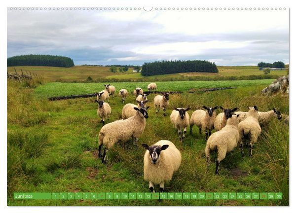 Produktbild: Schottland - Impressionen von magischen Orten (hochwertiger Premium Wandkalender 2026 DIN A2 quer), Kunstdruck in Hochglanz