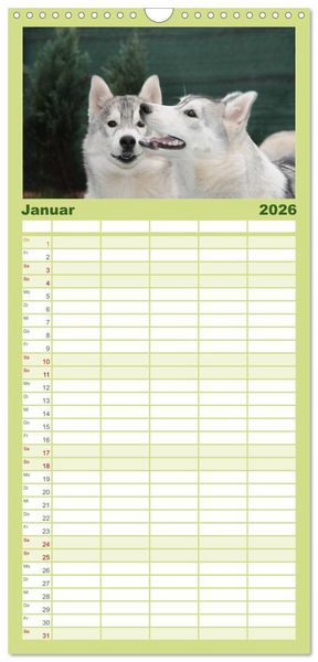 Produktbild: Familienplaner 2026 - Siberian Husky - der Urtyp mit 5 Spalten (Wandkalender, 21 x 45 cm) CALVENDO