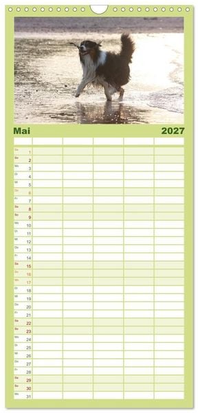 Produktbild: Familienplaner 2027 - Australian Shepherd - H&uuml;tehunde mit Familienanschluss mit 5 Spalten (Wandkalender, 21 x 45 cm) CALVENDO