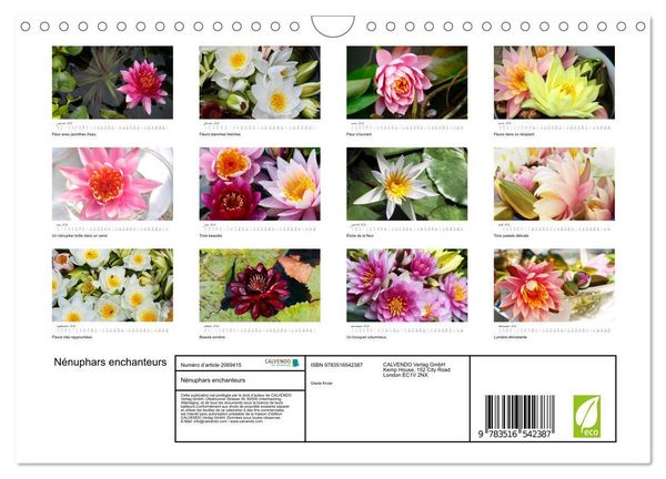 Produktbild: N&eacute;nuphars enchanteurs (Calendrier mural 2026 DIN A4 vertical), CALVENDO calendrier mensuel