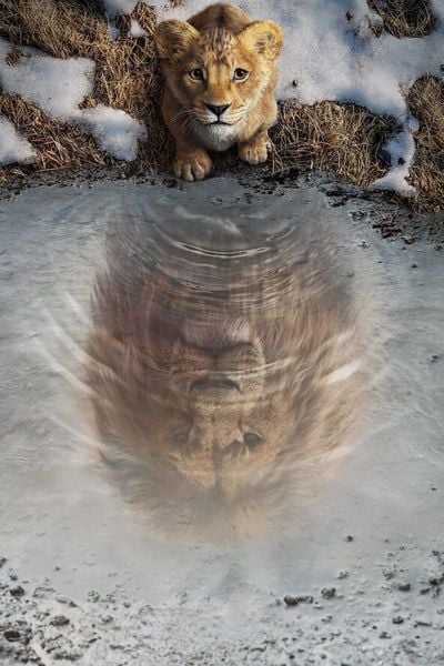 Mufasa - Der König der Löwen