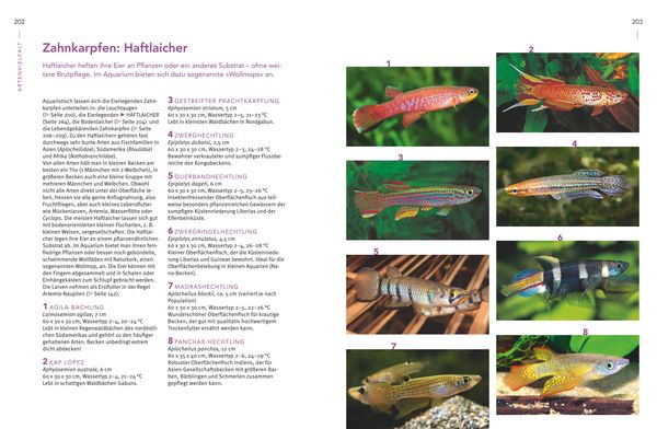 Praxishandbuch Aquarium