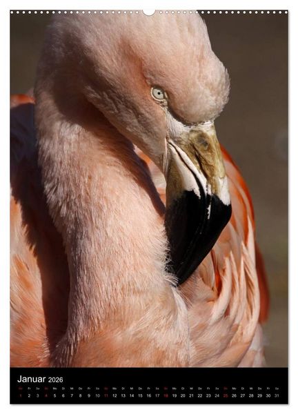 Produktbild: Flamingos - Eleganz in Rot und Rosa (hochwertiger Premium Wandkalender 2026 DIN A2 hoch), Kunstdruck in Hochglanz