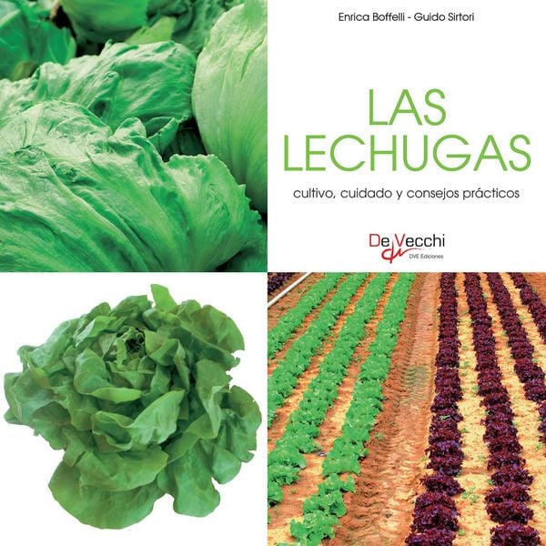 Produktbild: Las lechugas - cultivo, cuidado y condejos pr&aacute;cticos