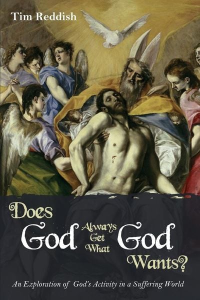 Produktbild: Does God Always Get What God Wants?