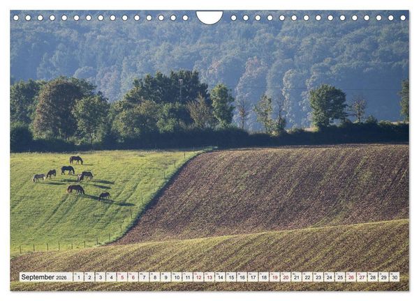 Produktbild: Sch&ouml;ner Kraichgau (Wandkalender 2026 DIN A4 quer), CALVENDO Monatskalender