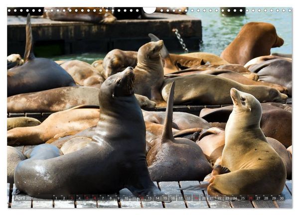 Produktbild: San Francisco Perspektiven (Wandkalender 2026 DIN A3 quer), CALVENDO Monatskalender