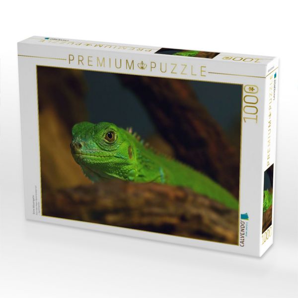 Produktbild: CALVENDO Puzzle Gr&uuml;ne Wasseragame | 1000 Teile Lege-Gr&ouml;&szlig;e 64x48cm Foto-Puzzle f&uuml;r gl&uuml;ckliche Stunden