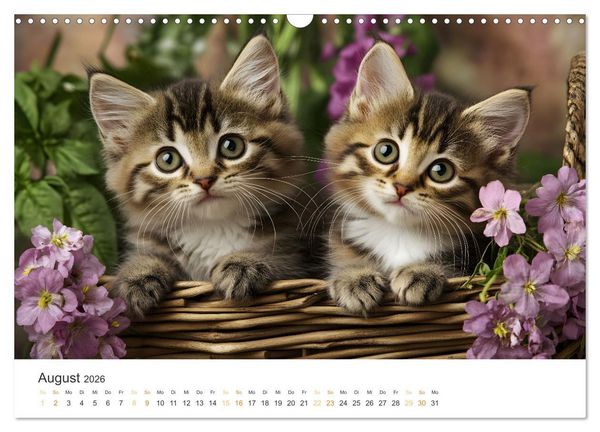 Produktbild: Zauberhafte Katzenbabys (Wandkalender 2026 DIN A3 quer), CALVENDO Monatskalender