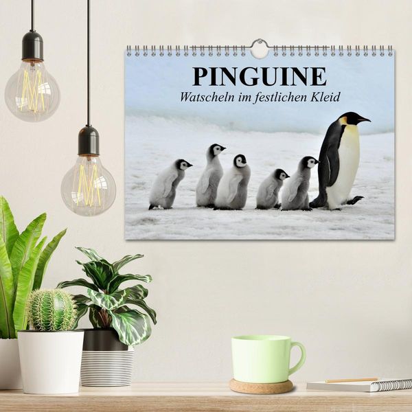 Produktbild: Pinguine - Watscheln im festlichen Kleid (Wandkalender 2026 DIN A4 quer), CALVENDO Monatskalender