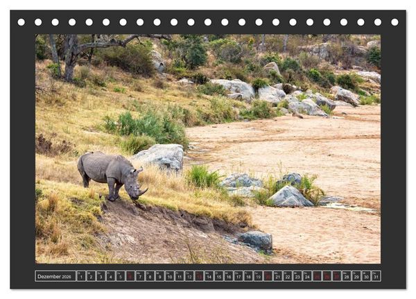 Produktbild: Das Wei&szlig;e Nashorn (Tischkalender 2026 DIN A5 quer), CALVENDO Monatskalender