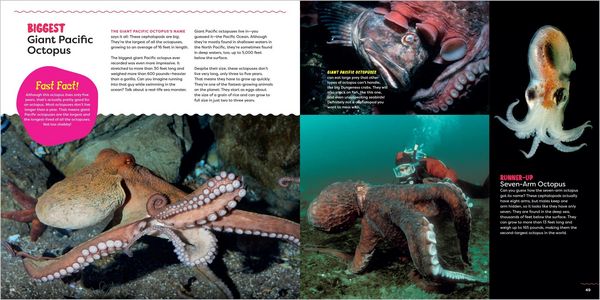 Produktbild: The Incredible Octopus