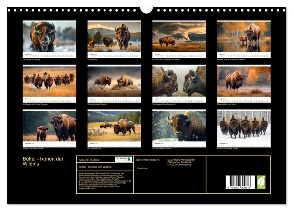 Produktbild: B&uuml;ffel - Ikonen der Wildnis (Wandkalender 2026 DIN A3 quer), CALVENDO Monatskalender