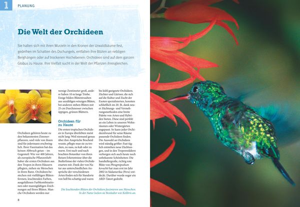 Produktbild: Orchideen pflegen