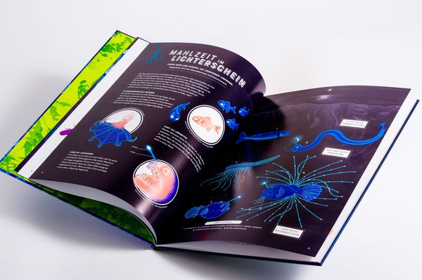 Produktbild: Glow &ndash; Das wundersame Leuchten der Natur