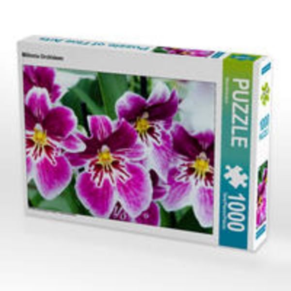 CALVENDO Puzzle Miltonia Orchideen | 1000 Teile Lege-Größe 64x48cm Foto-Puzzle für glückliche Stunden