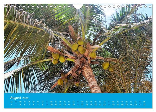 Produktbild: Cabo verde Inselgefl&uuml;ster - Ilha do Sal (Wandkalender 2026 DIN A4 quer), CALVENDO Monatskalender