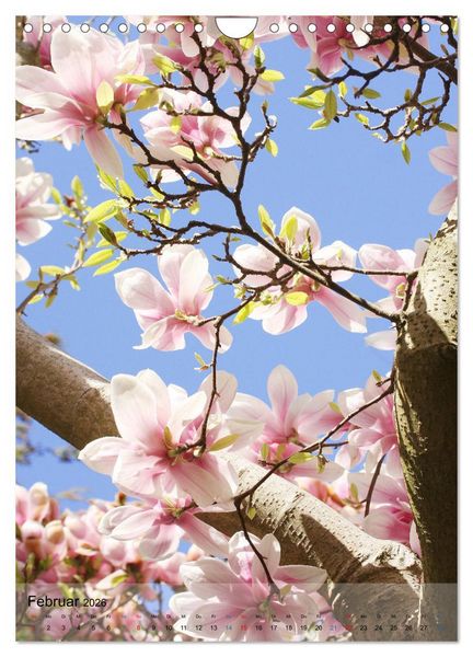 Produktbild: Ferien im Garten (Wandkalender 2026 DIN A4 hoch), CALVENDO Monatskalender
