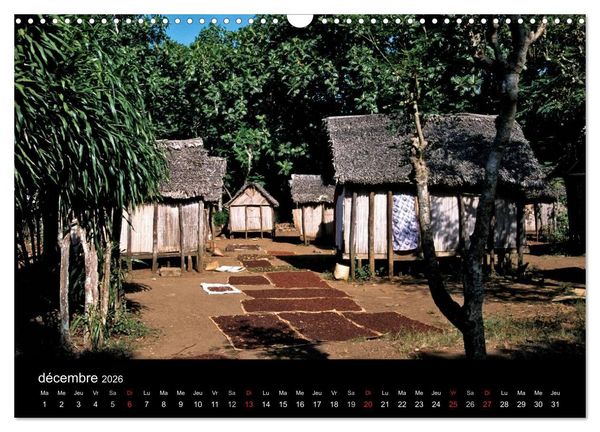 Produktbild: Madagascar L'&icirc;le aux merveilles (Calendrier mural 2026 DIN A3 vertical), CALVENDO calendrier mensuel