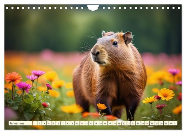 Produktbild: Capybaras - Wasserschweine die Herren der Gr&auml;ser (Wandkalender 2026 DIN A4 quer), CALVENDO Monatskalender