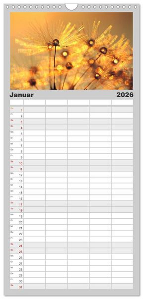 Produktbild: Familienplaner 2026 - Naturjuwel Pusteblume mit 5 Spalten (Wandkalender, 21 x 45 cm) CALVENDO