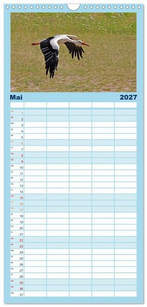 Produktbild: Familienplaner 2027 - V&ouml;gel im Flug - Akrobaten der L&uuml;fte mit 5 Spalten (Wandkalender, 21 x 45 cm) CALVENDO