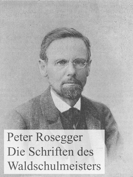 Produktbild: Die Schriften des Waldschulmeisters