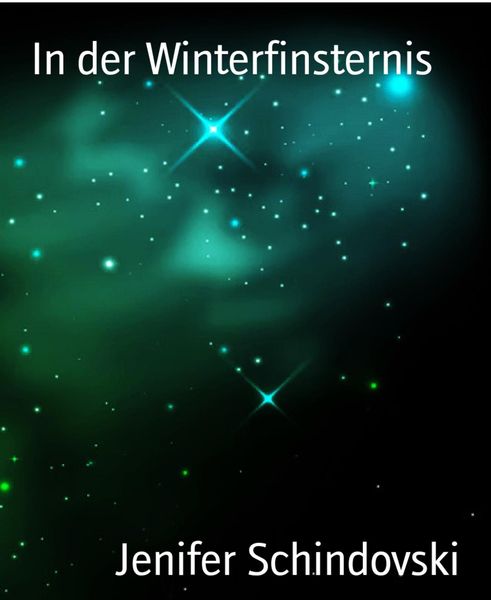 Produktbild: In der Winterfinsternis