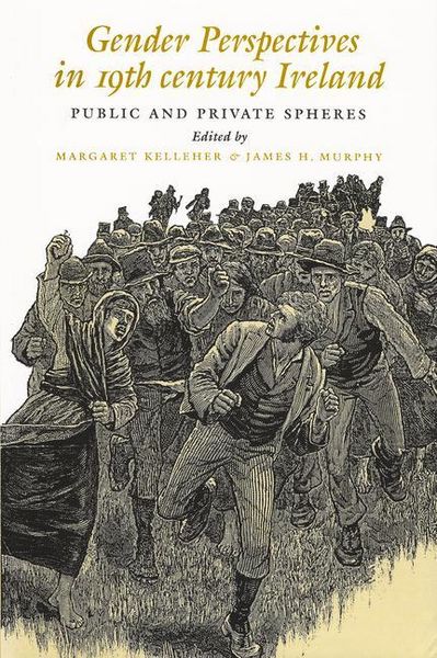 Produktbild: Gender Perspectives in Nineteenth-Century Ireland
