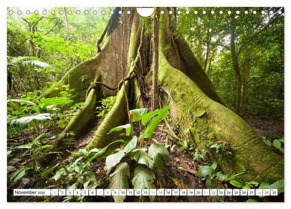 Produktbild: Costa Rica (Wandkalender 2026 DIN A4 quer), CALVENDO Monatskalender