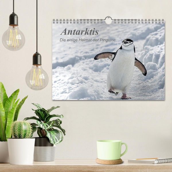 Produktbild: Antarktis, die eisige Heimat der Pinguine (Wandkalender 2026 DIN A4 quer), CALVENDO Monatskalender