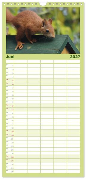 Produktbild: Familienplaner 2027 - Eichh&ouml;rnchen Kinder mit 5 Spalten (Wandkalender, 21 x 45 cm) CALVENDO