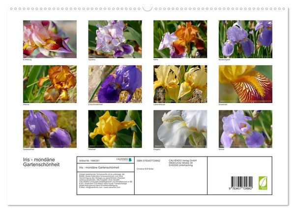 Produktbild: Iris - mond&auml;ne Gartensch&ouml;nheit (hochwertiger Premium Wandkalender 2026 DIN A2 quer), Kunstdruck in Hochglanz