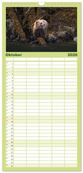 Produktbild: Familienplaner 2026 - Grizzlys und Geisterb&auml;ren - Glendale Cove, Kanada mit 5 Spalten (Wandkalender, 21 x 45 cm) CALVENDO