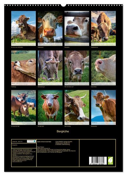 Produktbild: Bergk&uuml;he (hochwertiger Premium Wandkalender 2026 DIN A2 hoch), Kunstdruck in Hochglanz