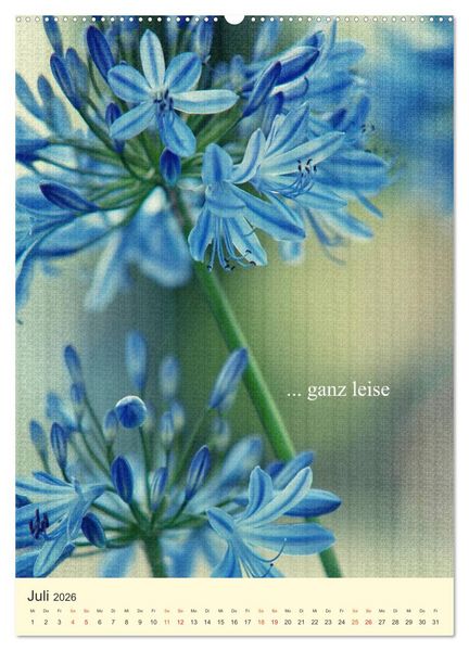 Produktbild: flowers (hochwertiger Premium Wandkalender 2026 DIN A2 hoch), Kunstdruck in Hochglanz