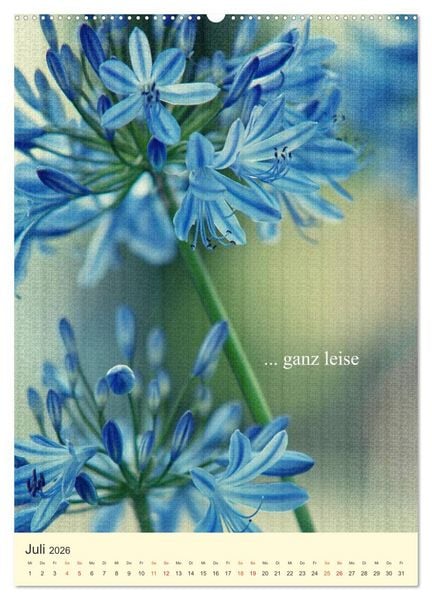 Produktbild: flowers (Wandkalender 2026 DIN A2 hoch), CALVENDO Monatskalender