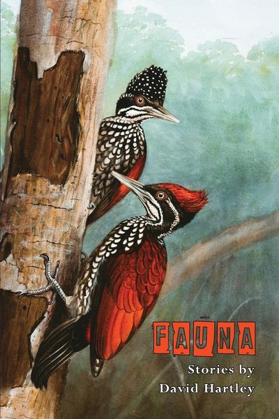 Produktbild: Fauna
